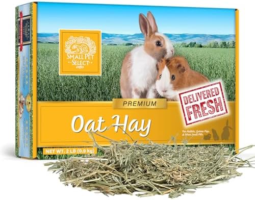 Small Pet Select Oat Hay for Rabbits, Guinea Pigs & Chinchillas, 10 lb | Natural Grass Hay with Seed Heads, High Fiber Forage, For Bunnies, Hamsters, Chinchillas & Other Small Pets