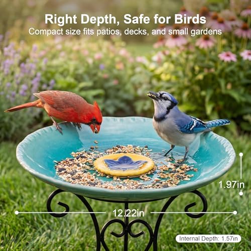 Topadorn 2" Depth Ceramic Birdbath & Birdfeeder for Small Birds Outdoors