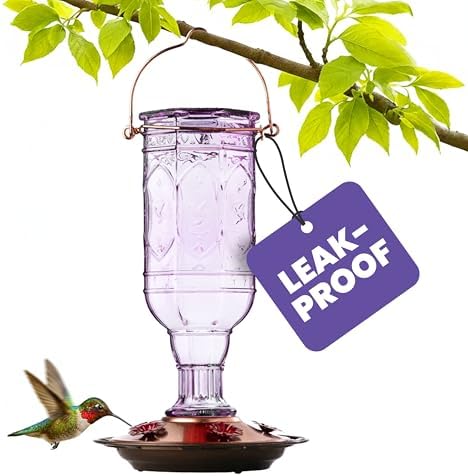 More Birds Red Jewel Hummingbird Feeder, Glass Bottle, 5 Feeding Ports and 20-Ounce Nectar Capacity (76IN)