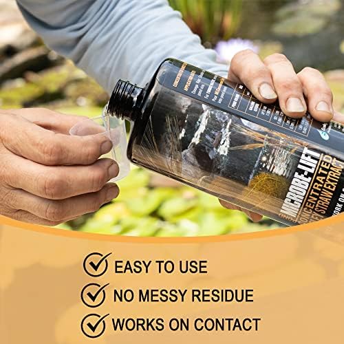 Microbe-Lift Concentrated Barley Straw Extract Conditioner for Ponds – 1 Gallon – Safe for Koi Fish, Plants & Decorations – Natural Pond Conditioner, Cost-Efficient & Organic Solution