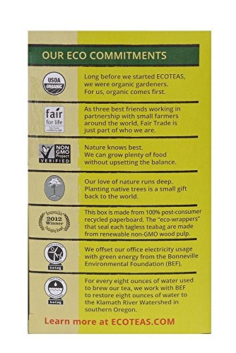 ECOTEAS Organic Yerba Mate Unsmoked Tea 24 Bags (Pack of 3)