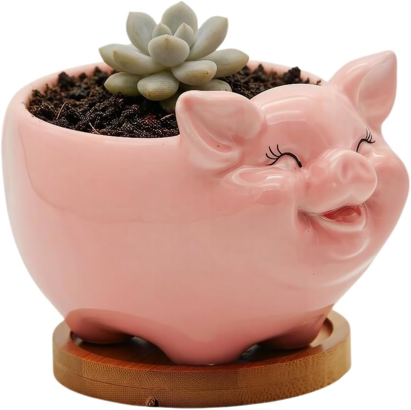 Cuteforyou Succulent Pots,Cute Animal Shaped Cartoon Ceramic Succulent Cactus Flower Planters -Plant Not Included，Cat