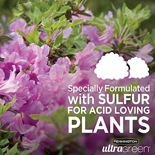 Pennington 100525940 UltraGreen Azalea, Camellia & Rhododendron 10-8-6 Plant Food, 5 lb