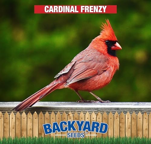 Backyard Seeds Cardinal Frenzy Bird Seed Mix - 5 lb - Premium Black Oil Sunflower & Safflower Blend - High-Energy Wild Bird Food for Cardinals, Finches, Grosbeaks - Resealable Bag (5 Pounds)