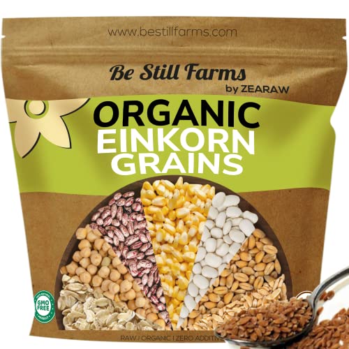Organic Einkorn Farro Grain 4.8 lb - Einkorn Wheat Berries Bulk Whole | Ancient Grains Ideal for Soup, Flour, Bread - High in Fiber - USA Grown | USDA Certified | Vegan | Non-GMO
