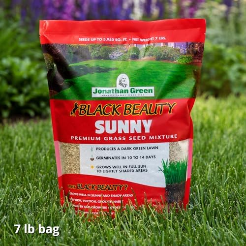Jonathan Green (10895) Black Beauty Sunny Grass Seed - Cool Season Lawn Seed (1 lb)