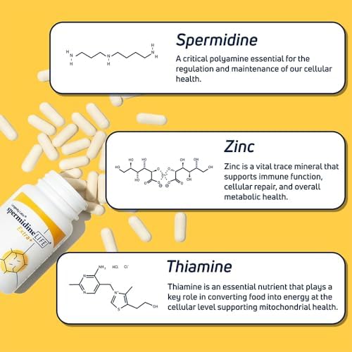LONGEVITY LABS + spermidineLIFE Supplement, 60 Capsules