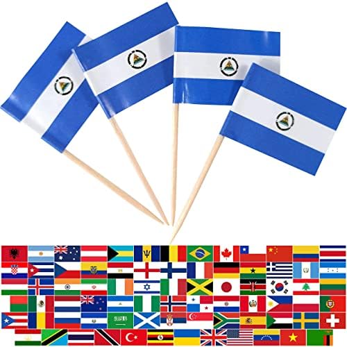 JBCD Nicaragua Toothpick Flag Nicaraguan Mini Small Cupcake Topper Flags, 100 pcs