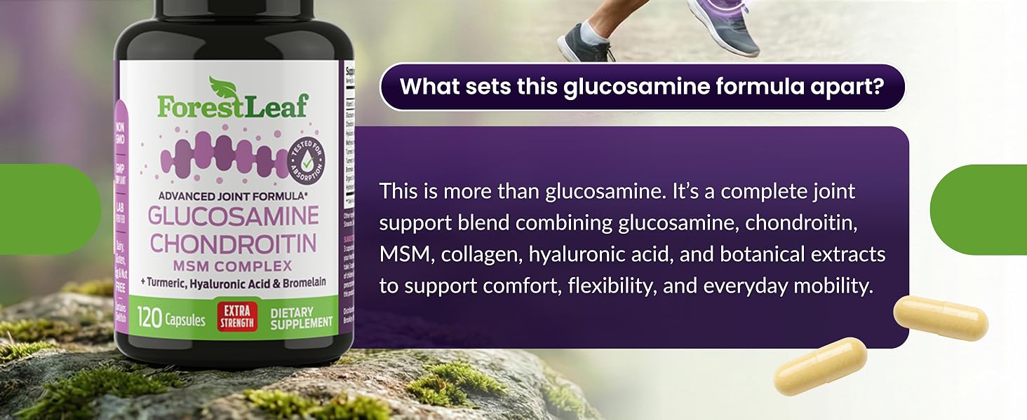 glucosamine chondroitin msm