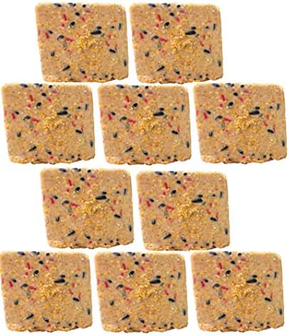 ST. ALBANS BAY SUET PLUS Suet Cake Variety Packs, 11 oz. Wild Bird Suet Cakes (High Energy, 10 Pack)