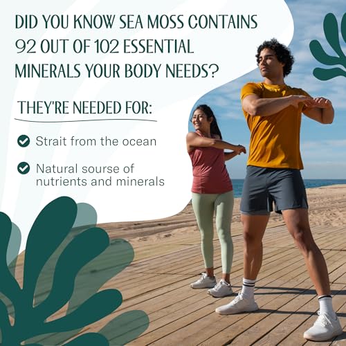 TrueSeaMoss Raw Irish Sea Moss – Wildcrafted Sun-Dried Seaweed for Homemade Gel – 16oz (1 lb) Makes Up to 200oz Gel – Atlantic Harvested