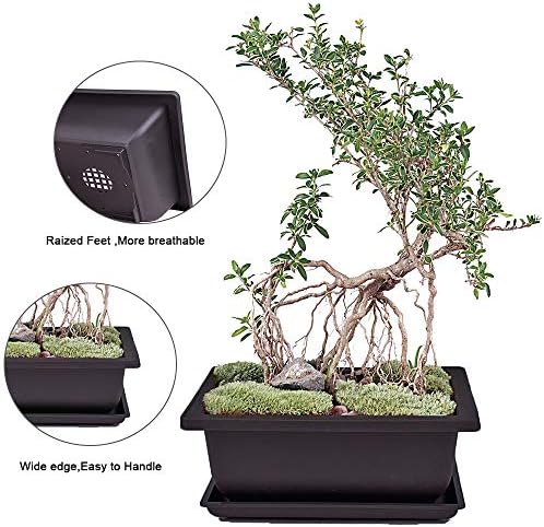 MUZHI 6PCS/Pack Retro Style Basin Plastic Flower Pot 6.5 Inch Flower Bonsai Tree Plant Bowl Nursery Pots Maceta Cuadrada Simulational Purple Sands Pots with Tray Rectangle Small