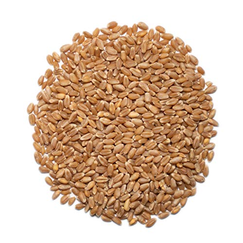 1000 SPRINGS MILL - Organic Hard Red Spring Wheat Berries - Used for Organic Flours, Cereals, Salads