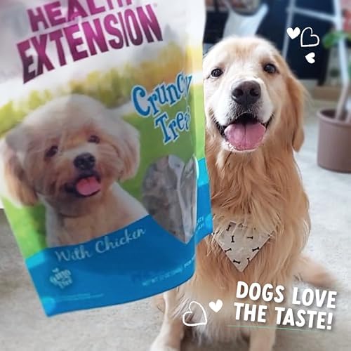 Health Extension Heart-Shaped Crunchy Biscuits, 12oz (340g) – Chicken Flavor, GMO-Free Dog Training Treats for Small Breeds