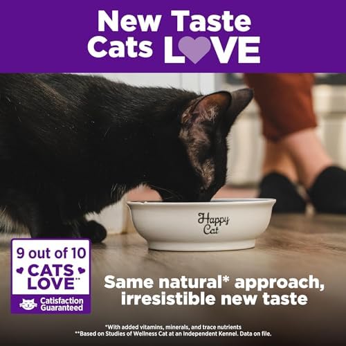 Wellness Complete Health Adult Dry Cat Food for Indoor Cats, Natural, Grain Free Kibble, Chicken Recipe, 5.5 lb Bag
