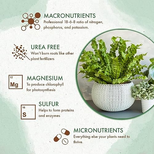 Indoor Plant Food, Slow Release Formula for Houseplants, 5oz