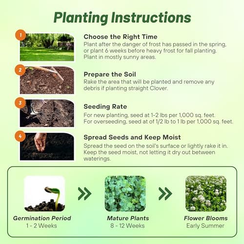 Outsidepride Perennial White Dutch Clover Seed - 5 lbs. Nitrocoated, Inoculated for Lawn Alternative, Erosion Control, Food Plots, Ground Cover, & Pasture Mixtures in USDA Zones 3-10