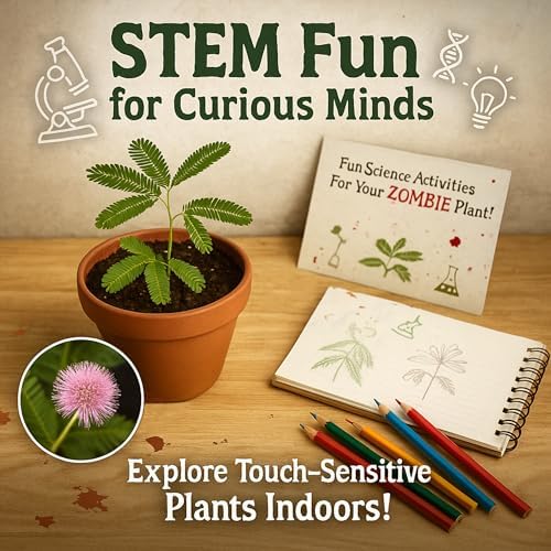 Zombie Plant Seed Packets – Grow a Live Sensitive Plant that Plays Dead When Touched! Indoor Plant Seeds & Educational STEM Activity | House Plant Seeds | Unique Garden Seeds – 2 Pack
