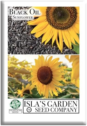 Black Oil Sunflower Seeds (Helianthus annuus) – 150+ Non GMO & Heirloom Seeds by Isla’s Garden Seeds