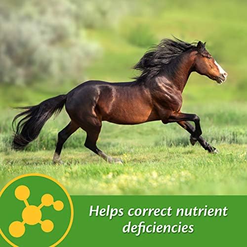 Farnam Vita-Min E & Selenium Antioxidant Supplement for Horses, 3 lb
