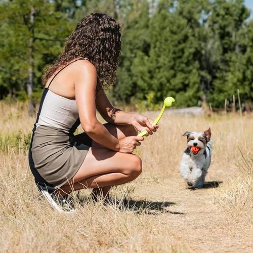 Chuckit! Sport 14S Ball Launcher for Small Dogs, 14-Inch Manual Thrower with 2-Inch Ball, Fits Dogs up to 20 lbs