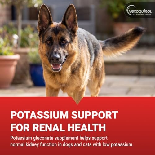 Vetoquinol Renal K - Potassium Supplement Powder for Dogs & Cats - Supports Kidney Health & Pet Wellness - Unflavored Oral Supplement - 3.5oz