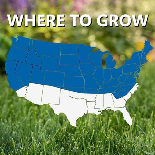 Jonathan Green (12005) Black Beauty Sun & Shade Grass Seed - Cool Season Lawn Seed (7 lb)