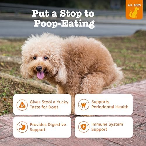 Zesty Paws Chew No Poo Bites for Dogs - Coprophagia Relief - Stool Eating Deterrent Soft Chews for Dogs - Gut