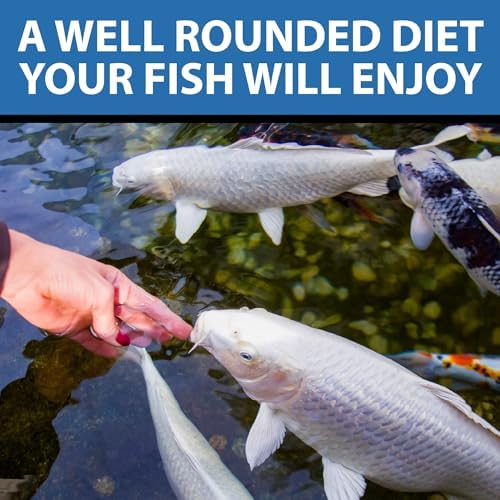 CrystalClear WheatGerm Fish Food for Freshwater Ponds, 2.2 Pound Bucket | Floating pellets with protein-rich food, ideal for cooler spring & fall seasons, supports pond fish in cold water