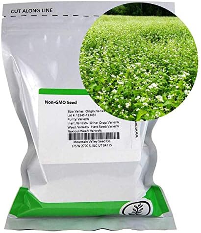 Mountain Valley Seed Co Buckwheat Seeds - 25 Lb Bulk ~300,000 Seeds