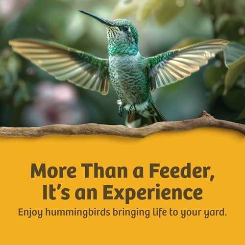 Birds Choice Best-1 Hummingbird Feeder | 32oz Nectar Capacity | Clear | Wide-Mouth Bottle for Easy Filling and Cleaning, Multiple Feeding Ports