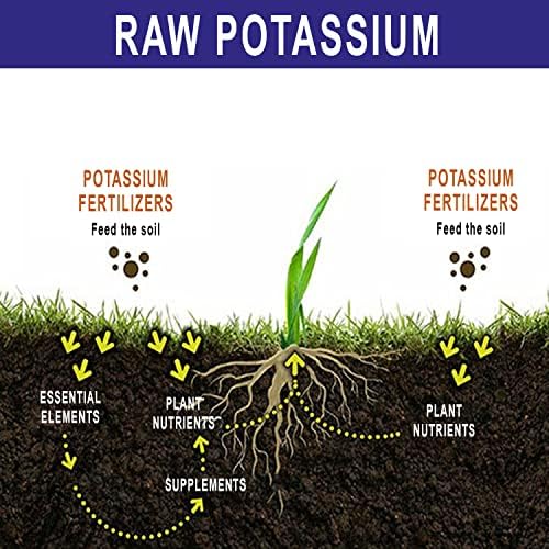 RAW Potassium Fertilizer - Water Soluble High Potassium for Plants, 8 oz | Fertilizer for Garden Use and Vegetable Cultivation - Bloom & Fruiting Plant, Hydroponic and Greenhouse Production
