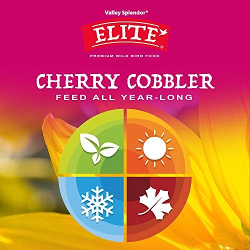 Cherry Cobbler