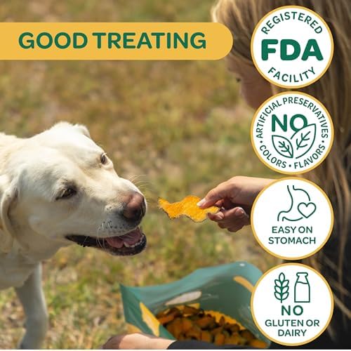Wholesome Pride Banana Bites Dog Treats – 2-Ingredient Banana Chips for Dogs, Grain-Free, Banana & Coconut Oil, 8 oz