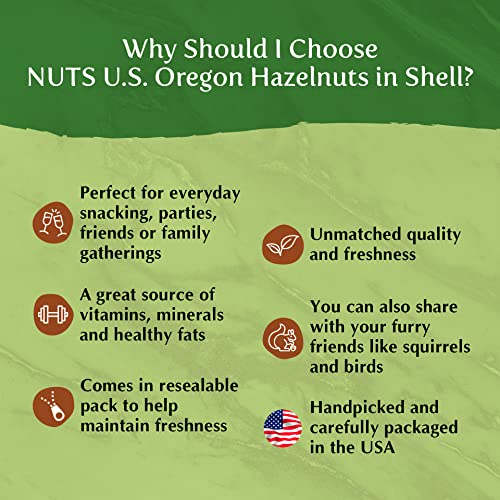 NUTS U.S. - Oregon Hazelnuts In shell | Whole