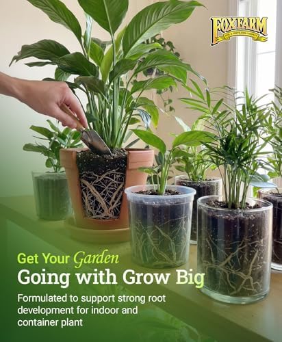 FoxFarm Grow Big Liquid Plant Food - 6-4-4 House Plant Fertilizer for Lush Vegetative Growth, Fast Nutrient Uptake for Roses, Tomatoes & Veggies - Quart Size Concentrate