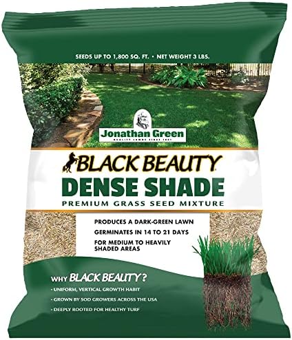 Jonathan Green (10610) Black Beauty Dense Shade Grass Seed - Cool Season Lawn Seed (25 lb) | Grows Well in Medium to Densely Shaded Areas