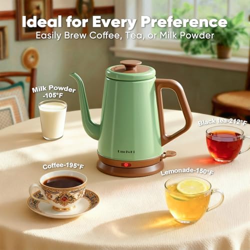 DmofwHi 1000W Gooseneck Electric Kettle (1.0L), 100% Stainless Steel BPA Free Tea Kettle with Auto Shut - Off Protection