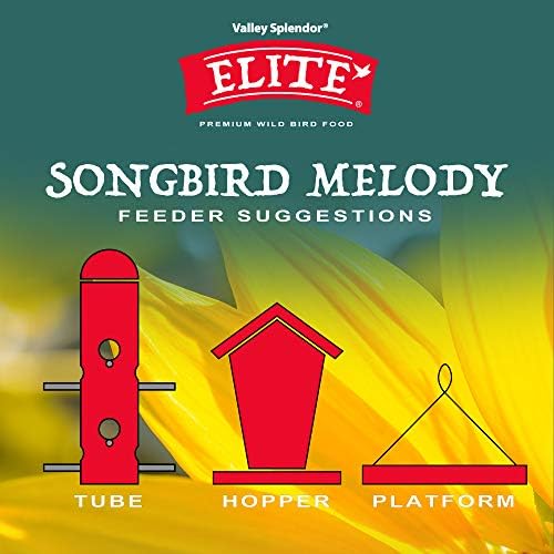 Songbird Melody