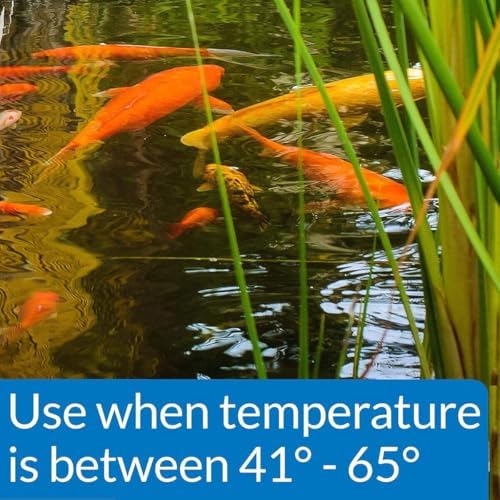 API POND COOL WATER FOOD Pond Fish Food 11-Ounce Container