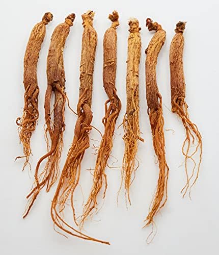 Red Panax Ginseng 1-16oz | 6 Year Old Whole Roots | Korean Red Ginseng | Premium Grade, Very Large | High Ginsenosides for Energy