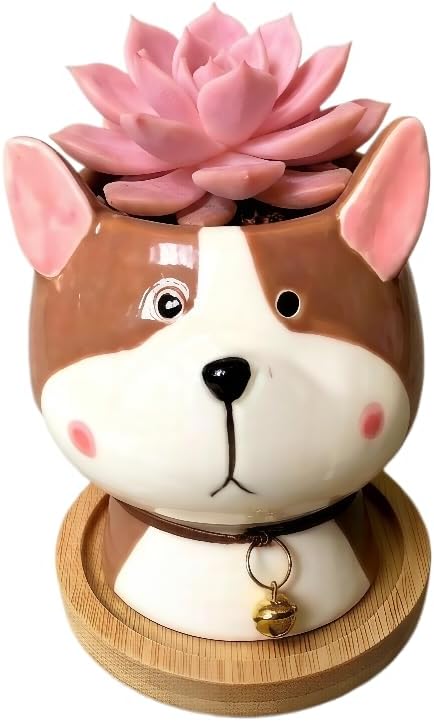 Cuteforyou Succulent Pots,Cute Animal Shaped Cartoon Ceramic Succulent Cactus Flower Planters -Plant Not Included，Cat