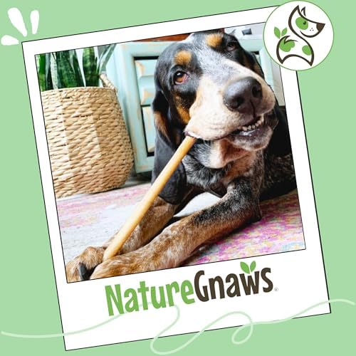 Nature Gnaws Bully Sticks 11-12" Long Lasting Rawhide Free Dog Chews, 8 oz