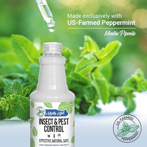 Mighty Mint Peppermint Oil Insect Repellent Spray, 16 oz | Natural Indoor & Outdoor Bug Control for Spiders, Ants, Roaches, Plant-Based, Extra-Strong Formula with Microfiber Cloth