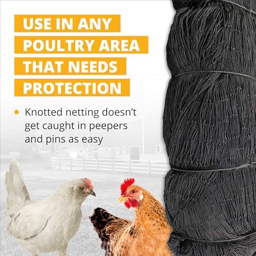 Stromberg’s 2” Mesh Heavy Duty Knotted Aviary Netting, UV Resistant Polyethylene Fiber for Game Birds, Pheasants & Poultry, 85 Lbs Break Strength Durable Against Weather and Predators, Size 25' x 50'