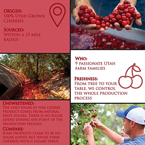 Country Spoon Montmorency Red Tart Cherry Juice Concentrate, 32 oz | Grown & Made in the USA