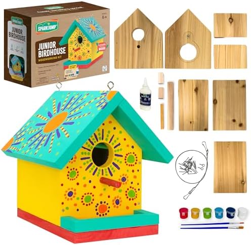 Jr Bird House Kit, DIY Cedar Wood Birdhouse for Outdoors with Paint