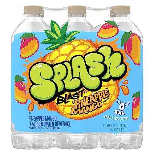 SPLASH REFRESHER Flavored Water Bottles, Lemon - 6 Pack | Refreshing Flavored Bottled Water with Electrolytes - Zero Sugar & Zero Calories - 16.9 Fl Oz