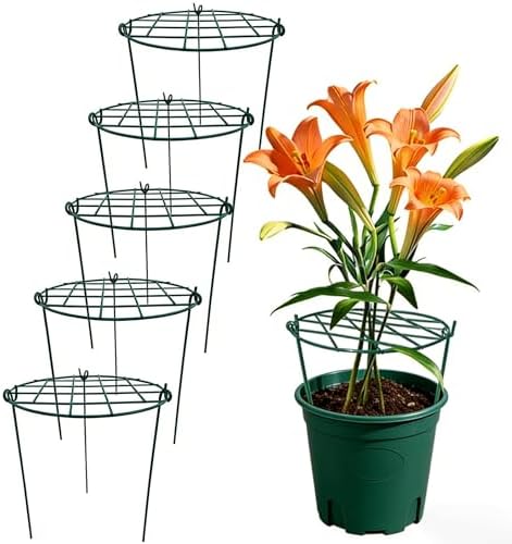MTB Supply 5 Pack 36" x 18" Peony Double Ring Plant Support,Plant Support Stakes for Tomatoes Peony Lily Rose Plant Support Rings Peony Cages for Outdoor Plants Flowers Vegetables