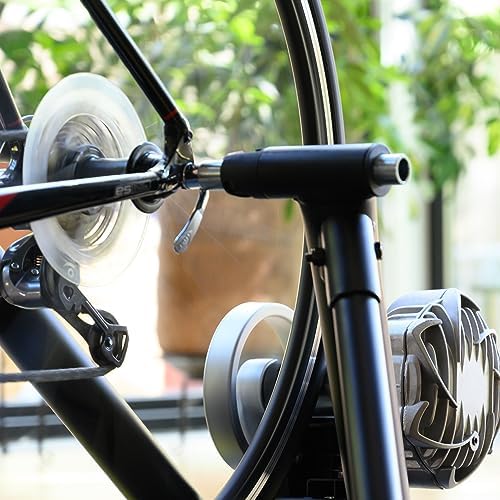 Saris Trainer Skewer